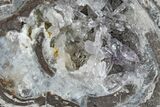 Las Choyas Coconut Geode with Amethyst Crystals - Mexico #165572-2